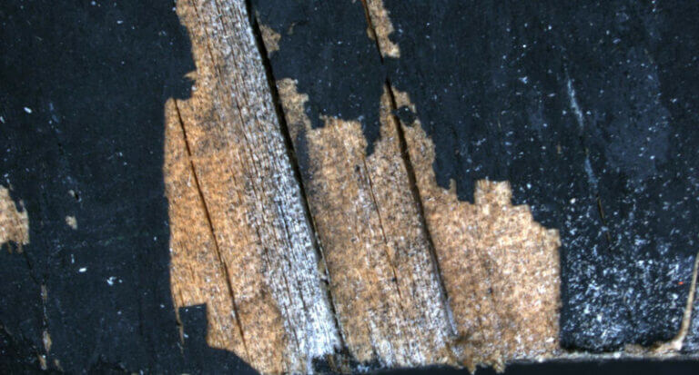 Image of a coating failure exposing wood underneath